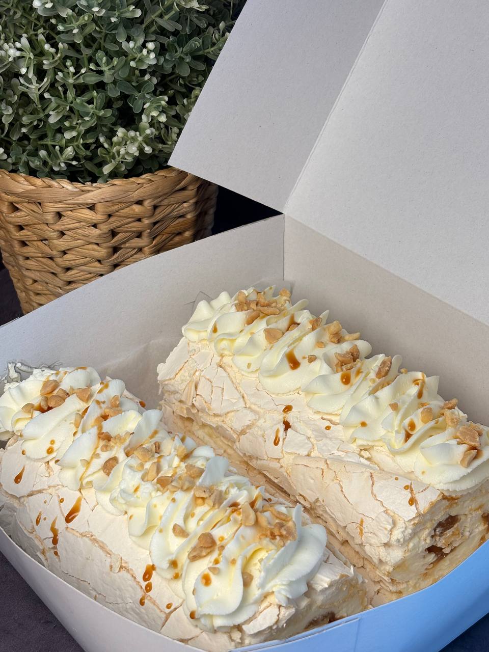 Pavlova 2
